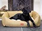 The Red Dog Company – Luxury Dog Beds and Accessories