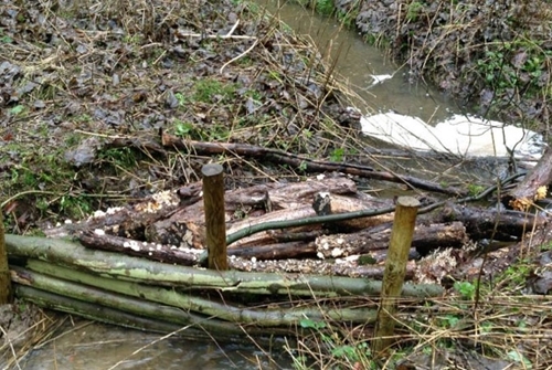 Figure 6: Debris dams made from wood and creating habitats