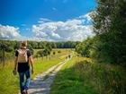 Help safeguard the British countryside by Walking for Wildlife with the GWCT