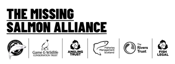 The Missing Salmon Alliance