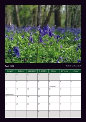 Martin Down Farmers Calendar 2023