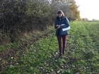 My placement project: Hedgerow structure and species diversity