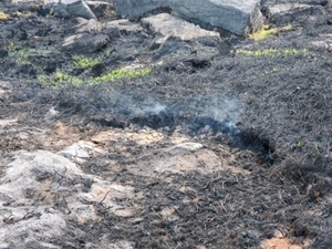 Tintwistle Wildfire Aftermath