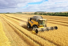 Allerton Project Harvest August 2026