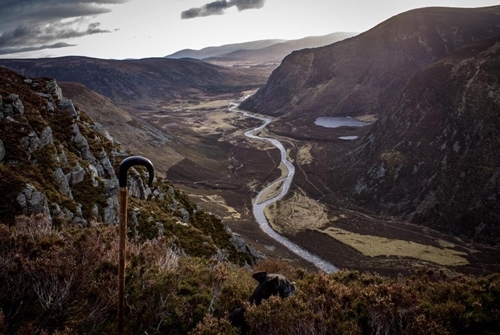 Scotland Macnab