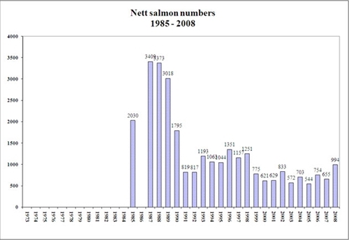 Net Salmon Numbers
