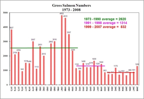 Gross salmon numbers