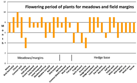 Flowering period of plants for meadows and field margins