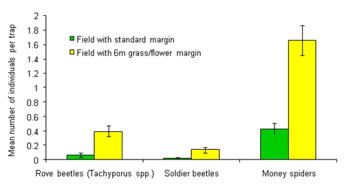 Invertebrate numbers in fields with and without 6m grass/flower margins