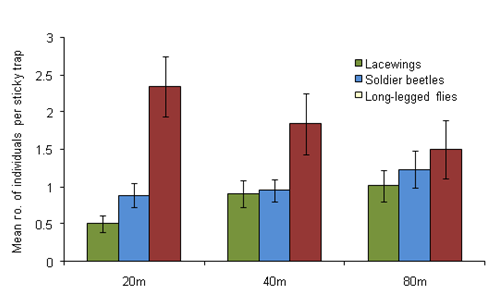 The effect of distance from margin on numbers of predatory insects caught on sticky traps