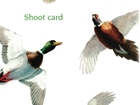 GWCT shoot sweepstake adds the taste of success