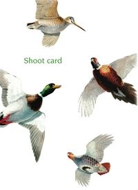 The GWCT's free shoot sweepstakes pack is illustrated with striking art by Owen Williams
