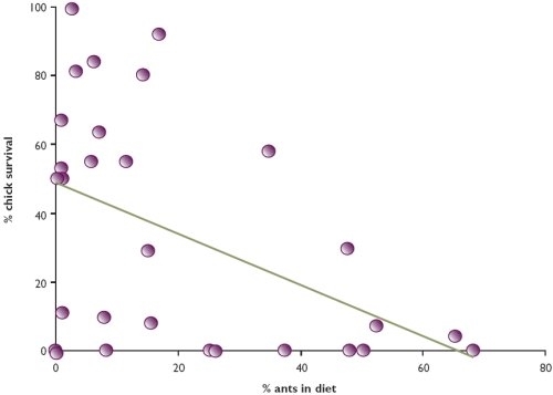 Relationship between the percentage of ants in diet and chick survival for three sites in Norfolk, 2001-2003