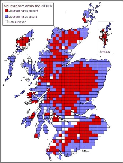 The distribution of mountain hares in 2006/07 in Scotland on a 10x10-km square basis. The use of a 10x10-km square scale resulted in some areas appearing to have mountain hares when in fact they were reported as absent. They are (from north to south) Yell (Shetland), Mainland (Orkney), the Morvern peninsula (adjacent to Mull) and Islay.