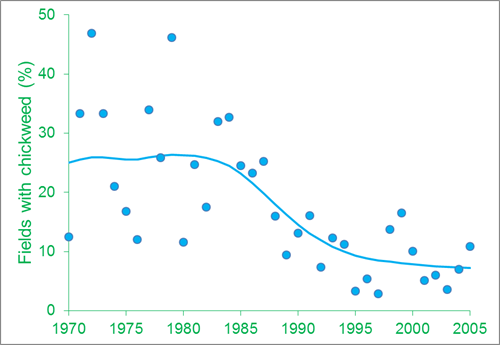 The annual percentage of fields where Chickweed was recorded. From 1986 to 2005 the average percentage of fields where it occurred more than halved compared to the period 1970 to 1985