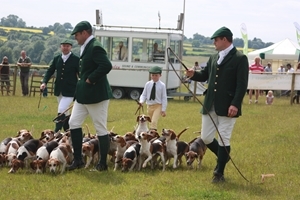 The Oakley Foot Beagles were a huge draw when they appeared at the Nottinghamshire Charity Country Fair in support of the Game & Wildlife Conservation Trust