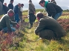 Important GWCT courses this winter