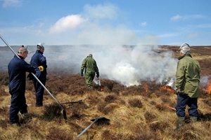 Heather burning, or muirburn, is one of the management tools used to improve habitat on the LMDP