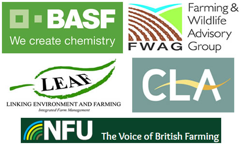 BFBC Logos