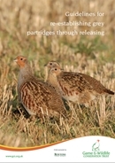 Guidelines for re-establishing grey partridges through releasing