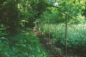 Woodland release pen