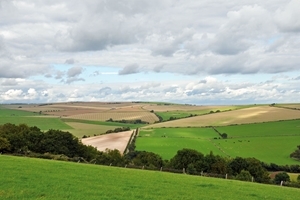 South Downs in September
