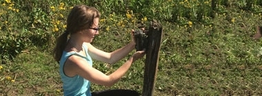 2016/17 student placements