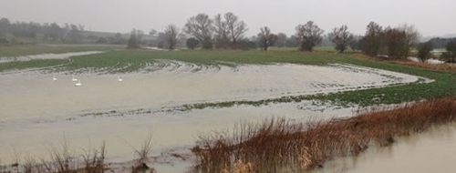 Flooded fields beside the river Welland