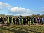 Big Farmland Bird Count, 6-14th February - don't miss out!
