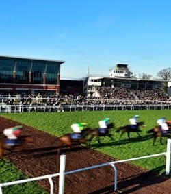 GWCT Race Day