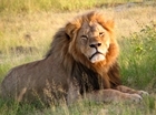 IUCN briefing on trophy hunting