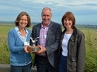 Silver Lapwing flies from Sussex to Wales