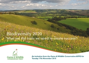 Biodiversity 2020: What are the tools we need to create success?