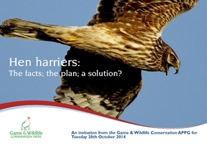 Hen harriers: The facts, the plan, a solution?