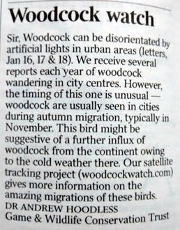 Woodcock Watch Letter