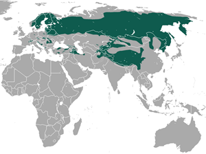Eurasian lynx range