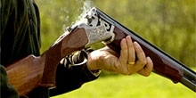 Consultation response to the Natural Resources Wales review on shooting