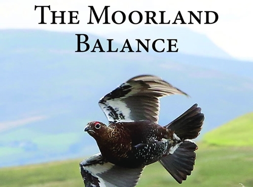 TWThe Moorland Balance - Cover