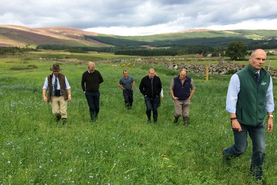 The farm tour through one of the highland cereal game crops