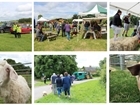 Celebrate British farming with us on Open Farm Sunday