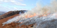 Heather burning: Its impacts on peat formation and carbon storage
