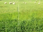 Grass is getting us integrated