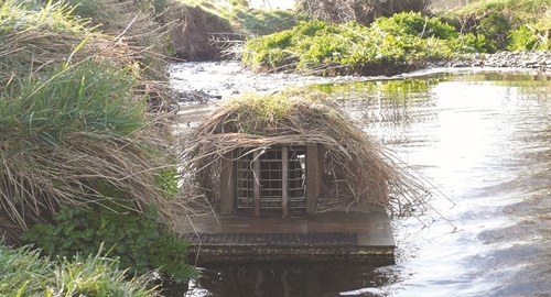 Mink Raft Mink Raft