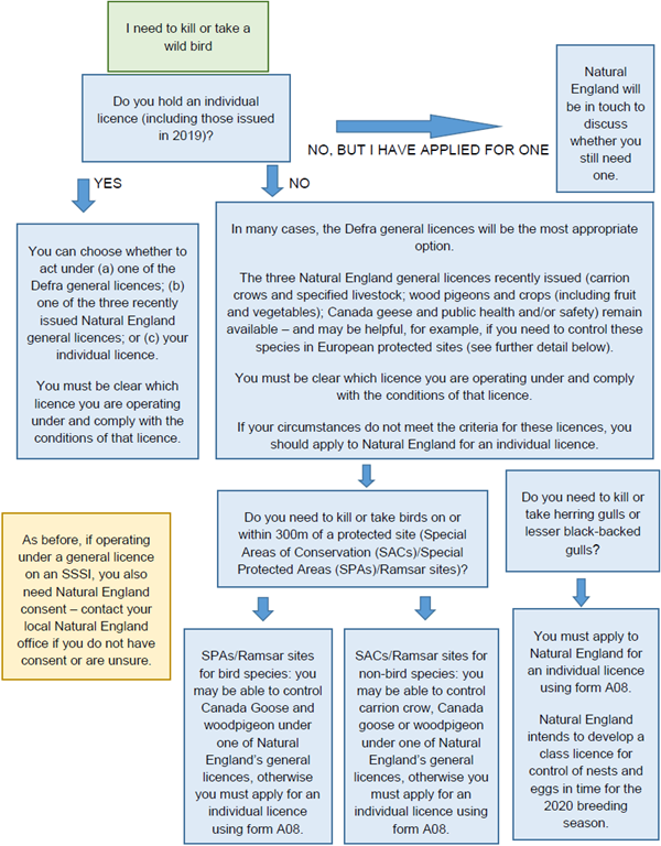 GL flowchart GL flowchart