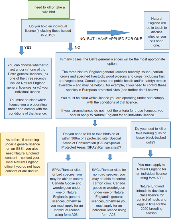 GL flowchart