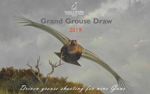 Grouse Draw 2019