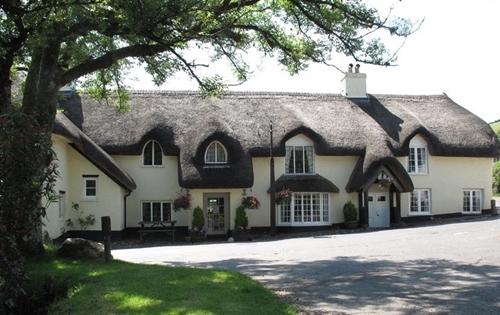 Royal Oak Front Image Royal Oak Front Image