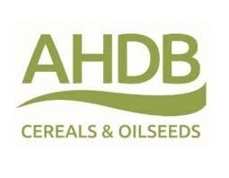 Logo 1 Logo 1