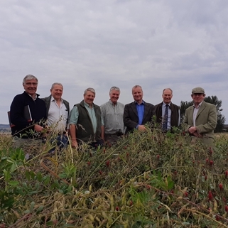 Strathmore Farmer Cluster (1)