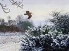Beautiful countryside designs on new GWCT Christmas cards